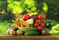 مطالعات امکان سنجی مقدماتی طرح عمل آوری میوه و سبزیجات به روش انجماد سریع